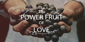 The Power Fruit of Love